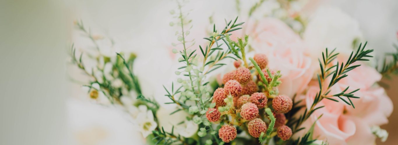 limon y sal weddings